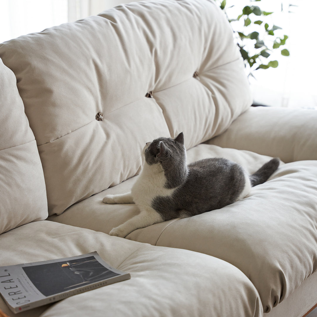 Scandinavian cat scratch resistant fabric 4 seater sofa nimbus environmental situation.