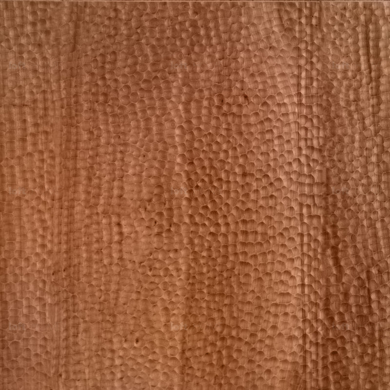 Scandinavian Elm Wood Storage Cabinet VORTEX Color Swatches