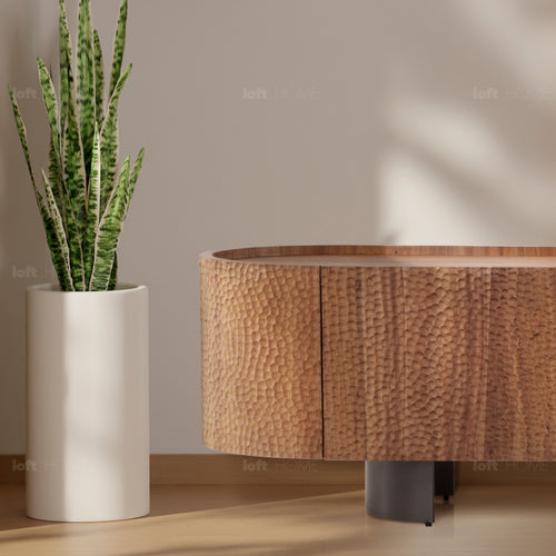 Scandinavian Elm Wood TV Console SAVVY Good to Know Preview-1