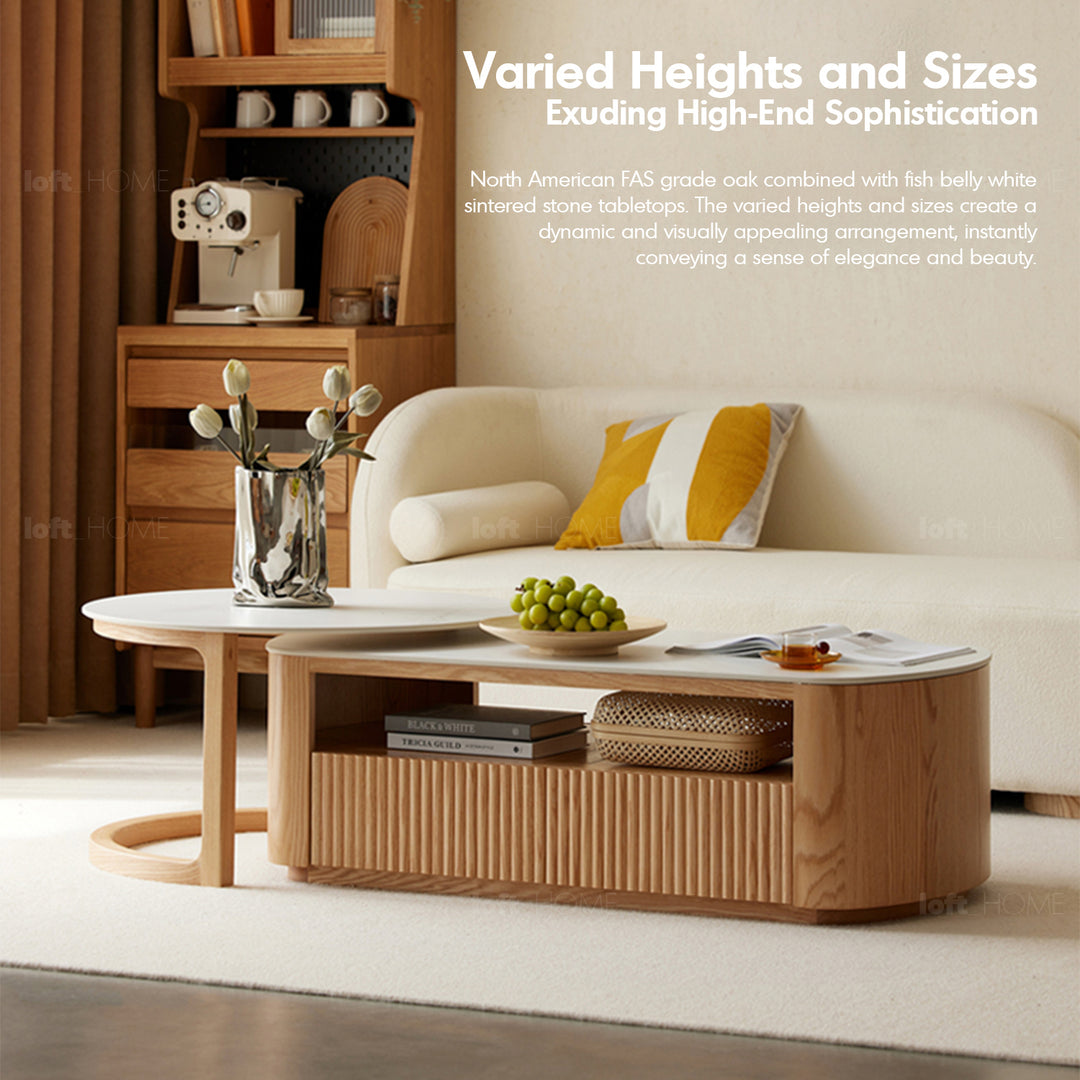 Scandinavian sintered stone coffee table wendel with context.