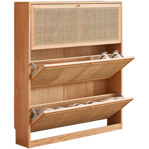 Shoe Cabinets