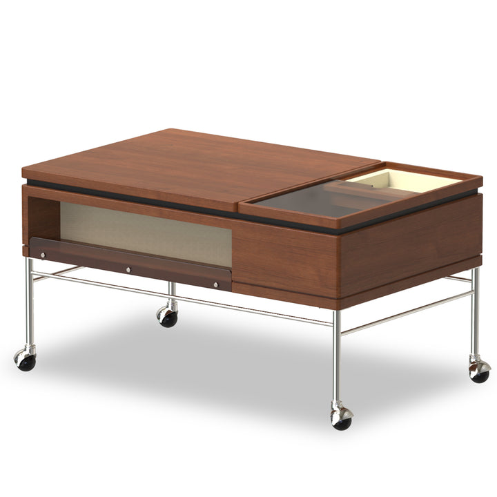 Vintage boxwood coffee table pinecone in white background.
