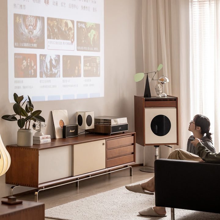 Vintage boxwood sliding door tv console moonrise conceptual design.