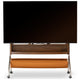 Japandi TV Consoles