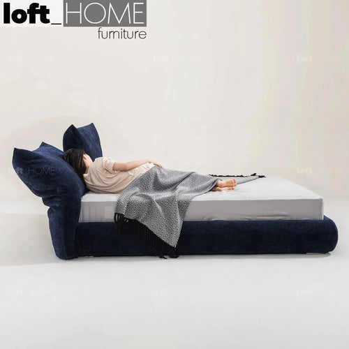 Modern Velvet Fabric Bed STANDARD Good to Know Preview-1