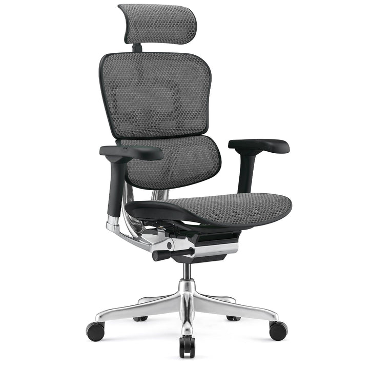 Modern mesh ergonomic office chair black frame ergohuman e2 conceptual design.