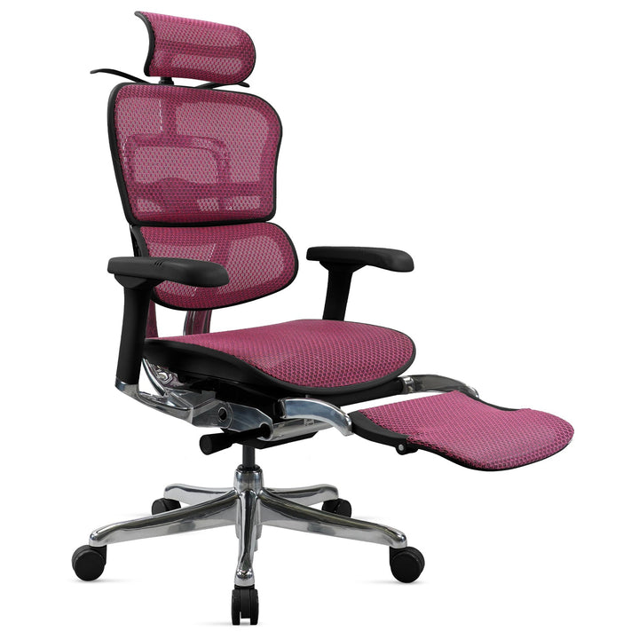 Modern mesh ergonomic office chair black frame with legrest ergohuman e2 layered structure.