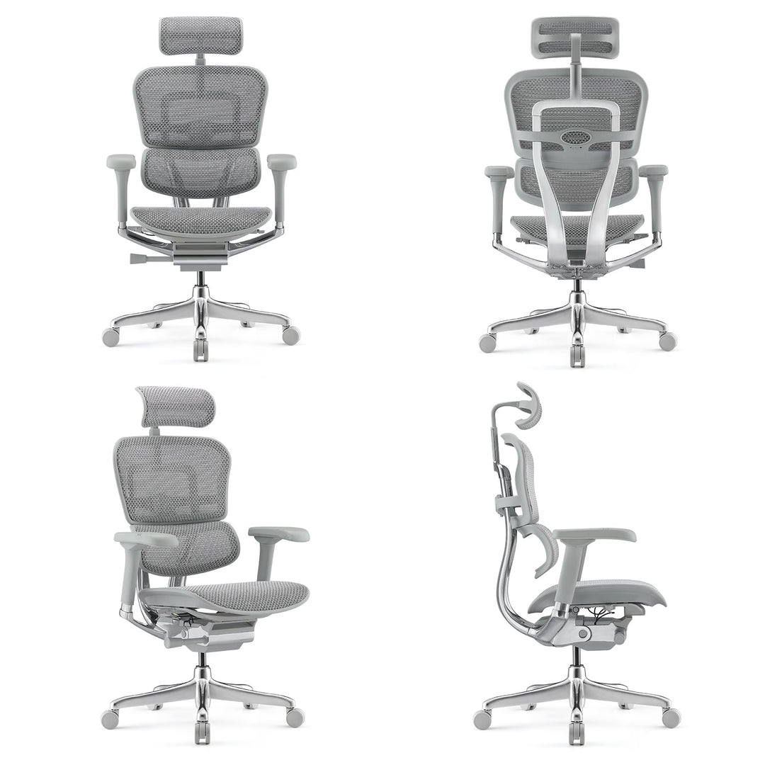 Modern mesh ergonomic office chair grey frame ergohuman e2 environmental situation.