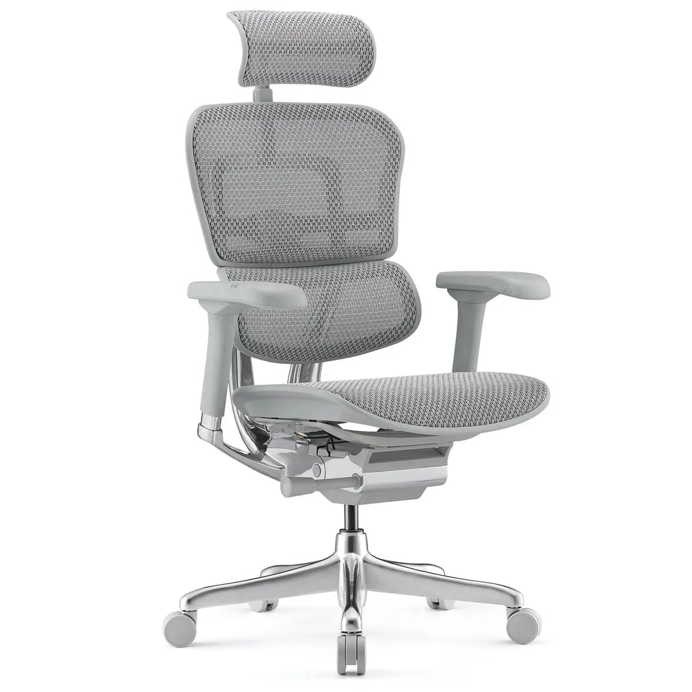 Modern mesh ergonomic office chair grey frame ergohuman e2 in white background.