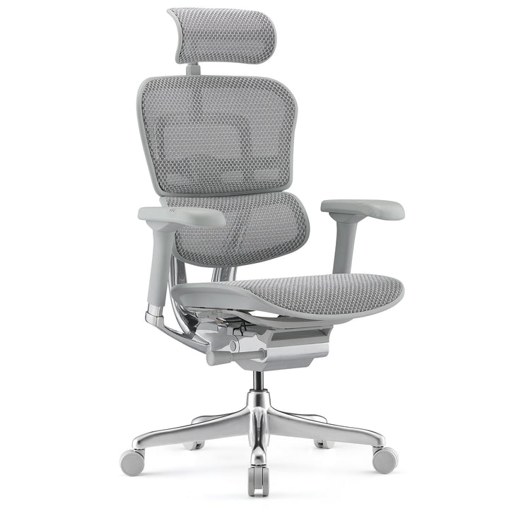 Modern mesh ergonomic office chair grey frame ergohuman e2 in white background.