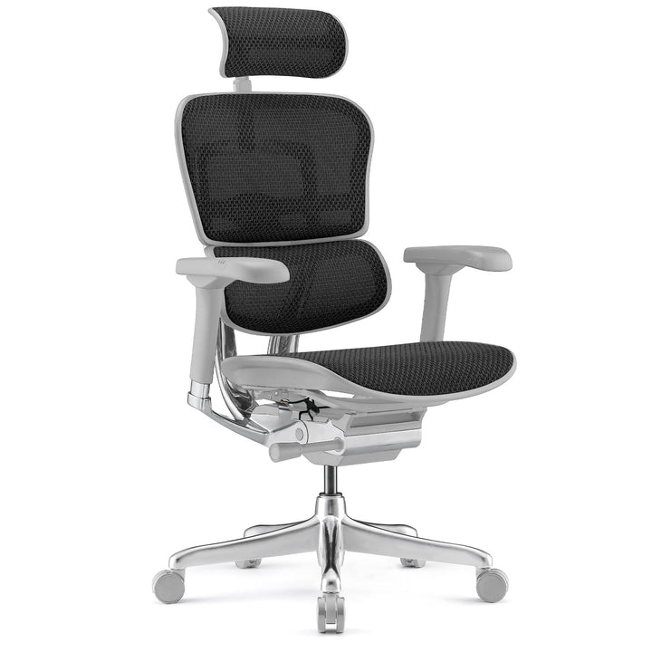 Modern mesh ergonomic office chair grey frame ergohuman e2 detail 1.