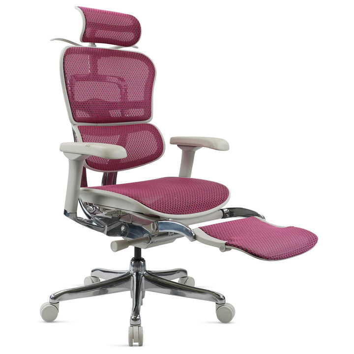 Modern mesh  ergonomic office chair grey frame with legrest ergohuman e2 layered structure.