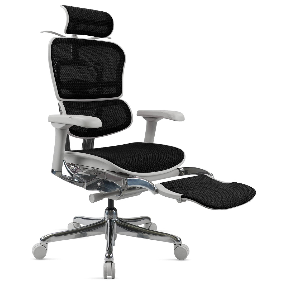 Modern mesh  ergonomic office chair grey frame with legrest ergohuman e2 detail 1.
