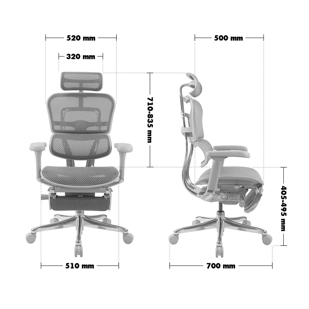 Modern Mesh  Ergonomic Office Chair Grey Frame With Legrest ERGOHUMAN E2