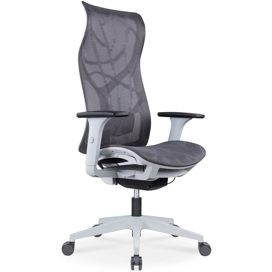 Modern mesh ergonomic office chair sit in white background.