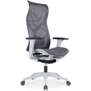 Ergonomic Chairs