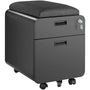 Modern Metal Two Drawer Locking Mobile File Cabinet with Seat