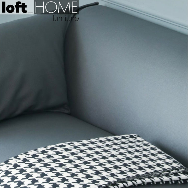 Modern microfiber leather 2 seater sofa beam conceptual design.