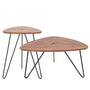 Modern Plywood Coffee Table SARA