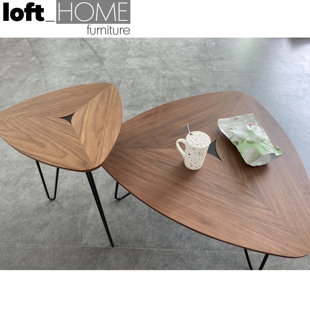 Modern plywood coffee table sara primary product view.