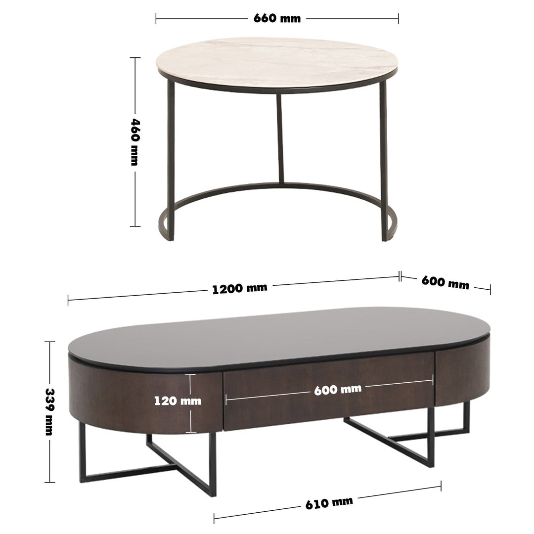 Modern Tempered Glass Coffee Table GINA