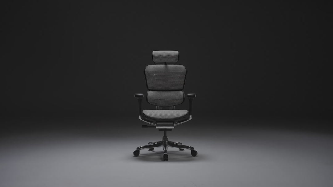 Modern mesh ergonomic office chair black frame ergohuman e2 material variants.