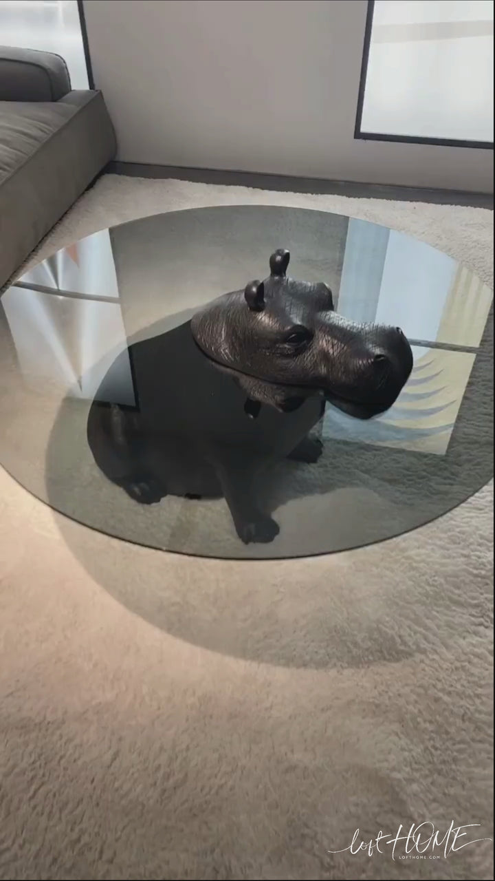 Modern tempered glass coffee table hippo layered structure.