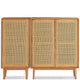 Storage Shoe Cabinets