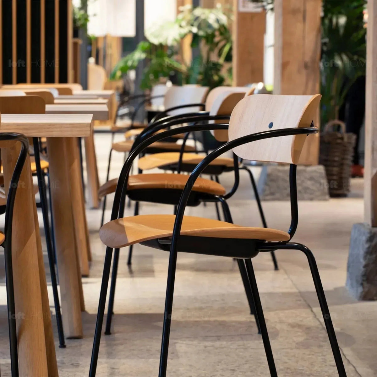 Bauhaus wood armrest dining chair pavilion av2 in real life style.