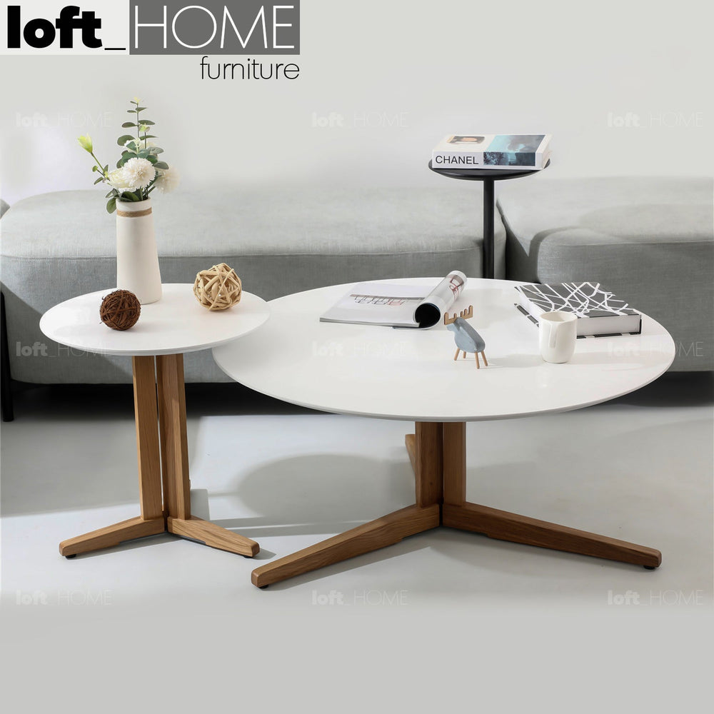 Scandinavian wood coffee table nick primary product view.