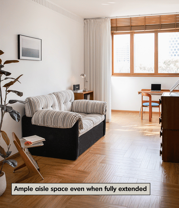 Vintage Chenille Velvet Fabric 2 Seater Sofa Bed ZIRU