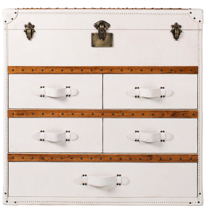 Vintage genuine leather drawer cabinet ox trunk s in white background.