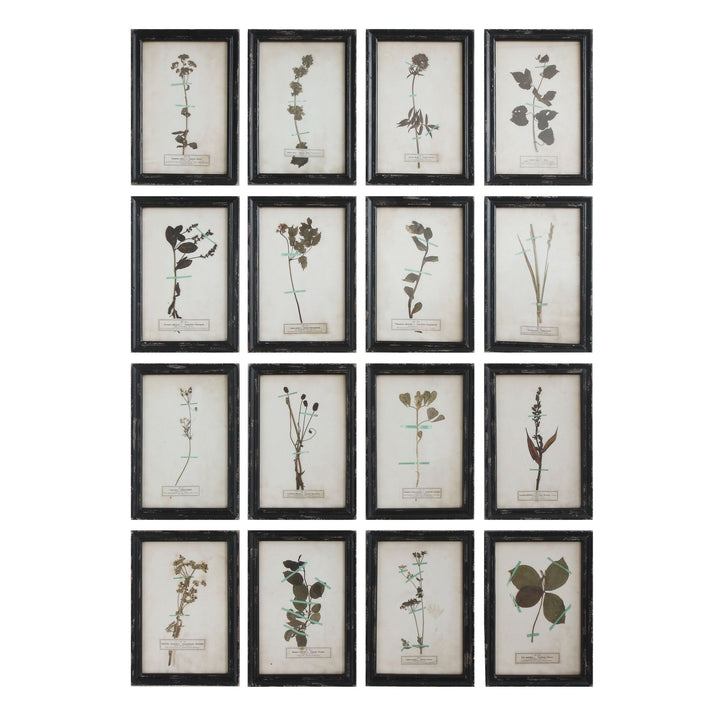 Wood framed wall plaques with dried flower images (set of 16 designs) decor in white background.
