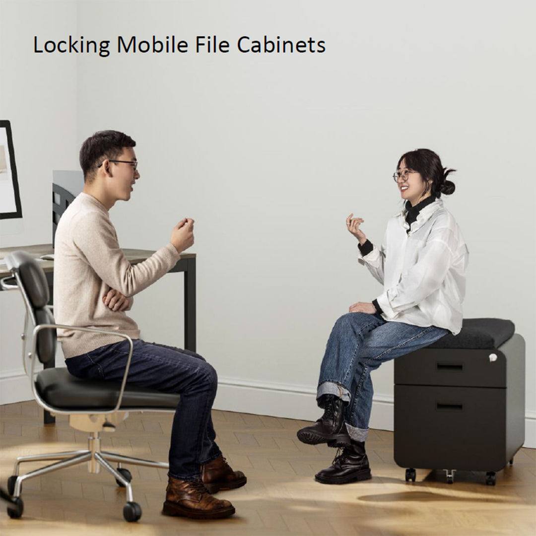 Modern Metal Two Drawer Locking Mobile File Cabinet with Cushion Panoramic