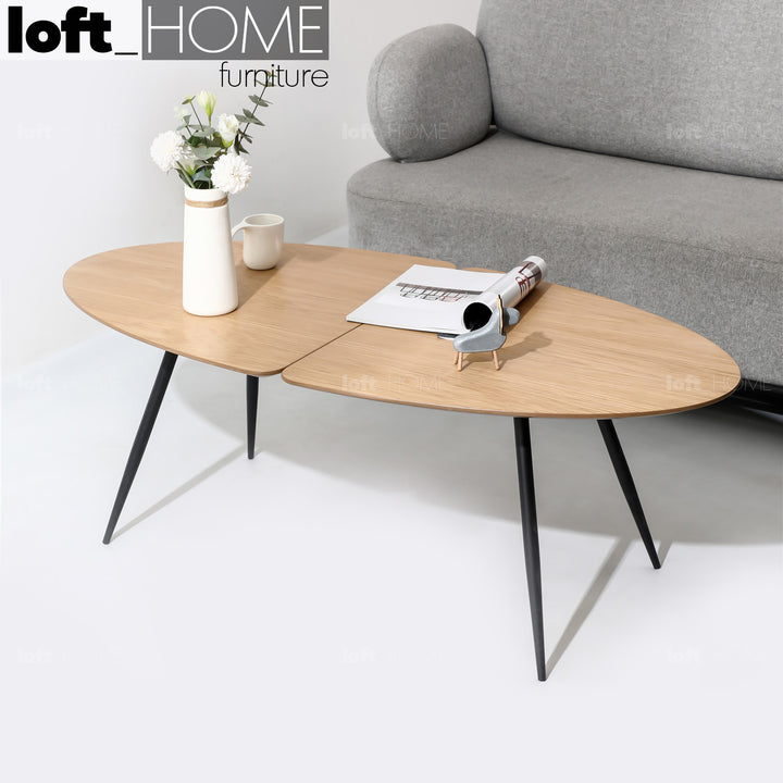Scandinavian Wood Coffee Table VALBOARD OVAL Color Variant