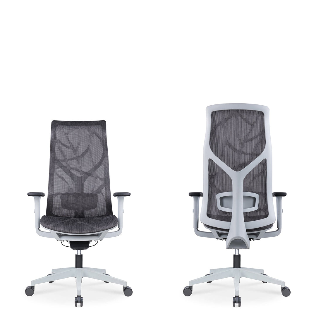 Modern Mesh Ergonomic Office Chair SIT Conceptual
