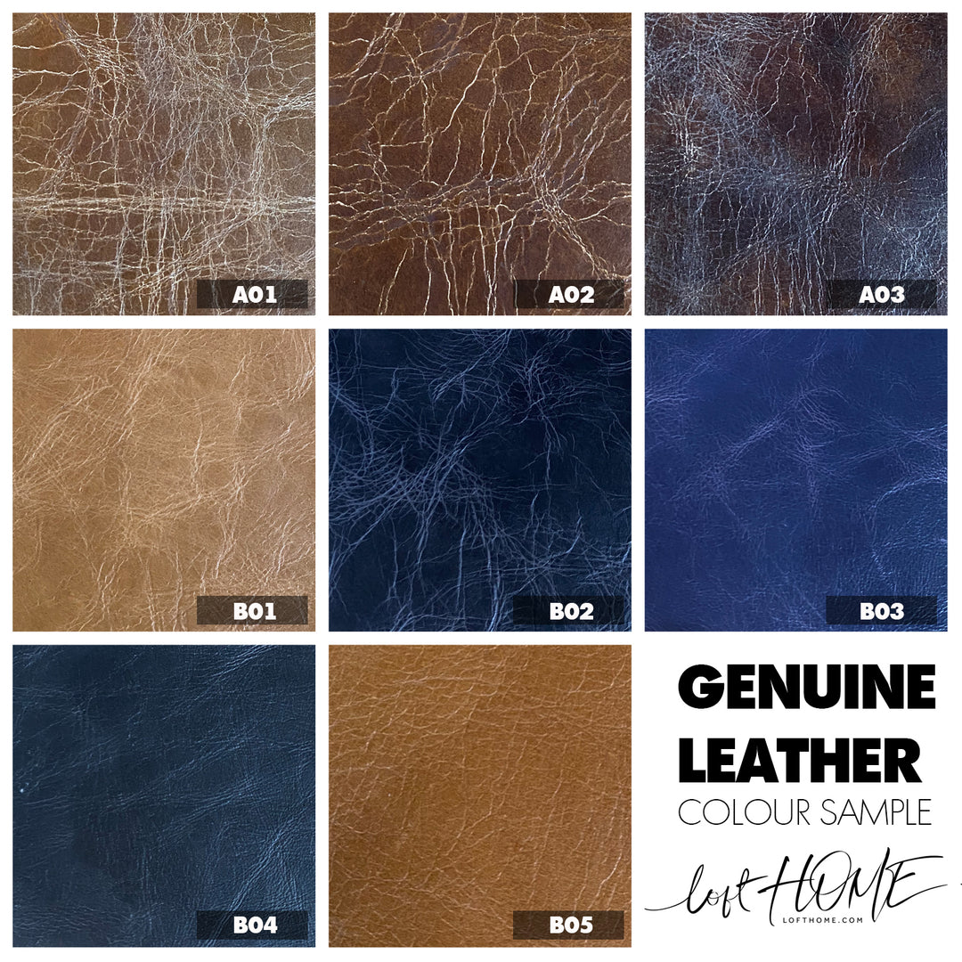 Vintage Genuine Leather 1 Seater Sofa PROFESSOR Color Swatch
