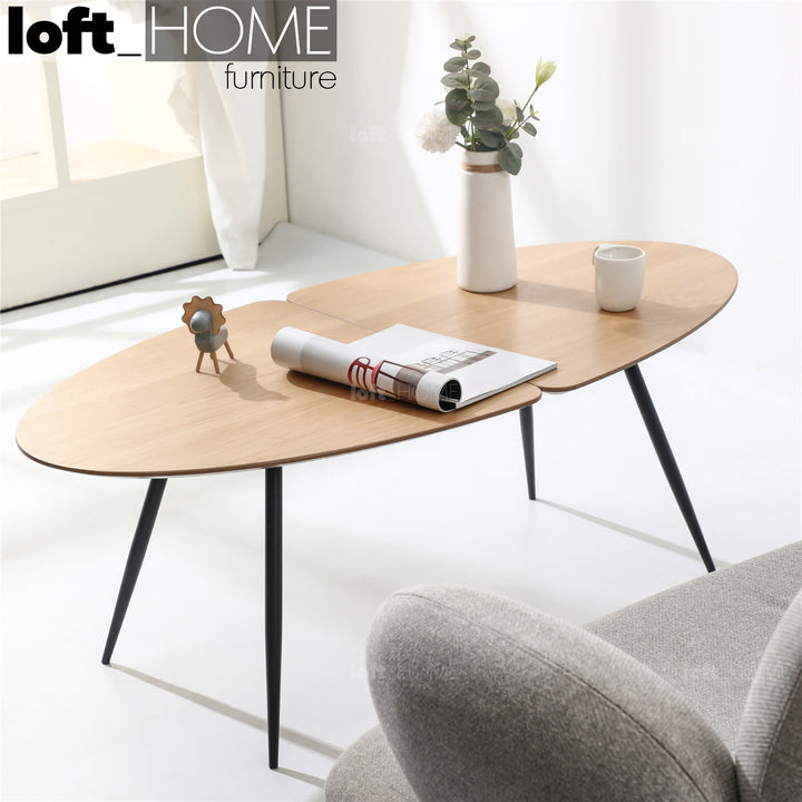Scandinavian Wood Coffee Table VALBOARD OVAL Primary Product